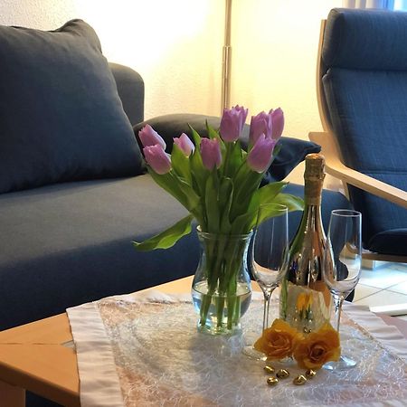 Elbidyll Lägenhet Magdeburg Exteriör bild