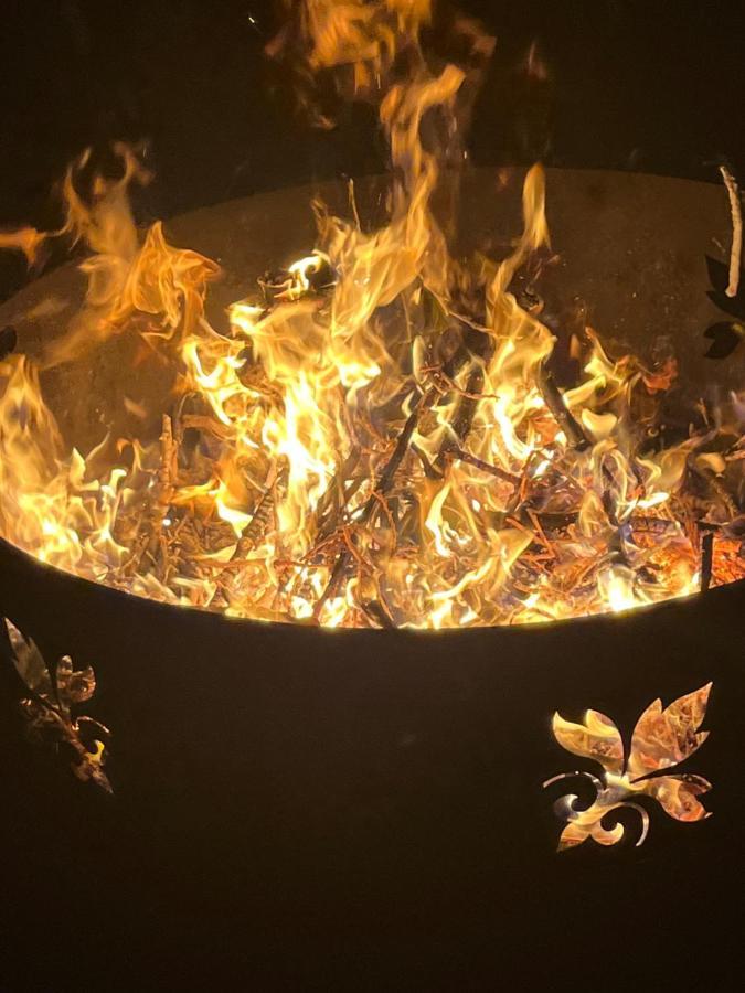 Elbidyll Lägenhet Magdeburg Exteriör bild