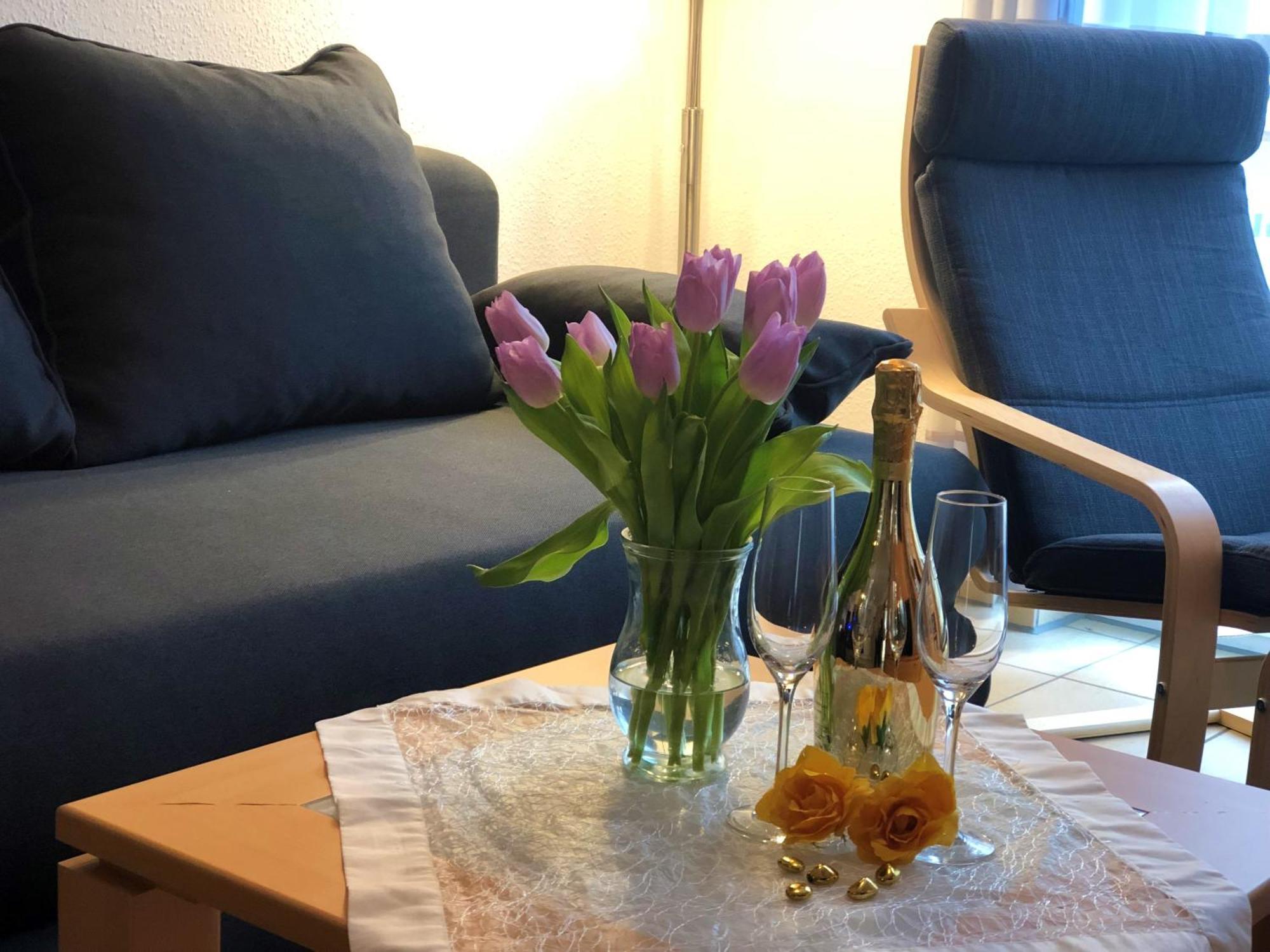 Elbidyll Lägenhet Magdeburg Exteriör bild